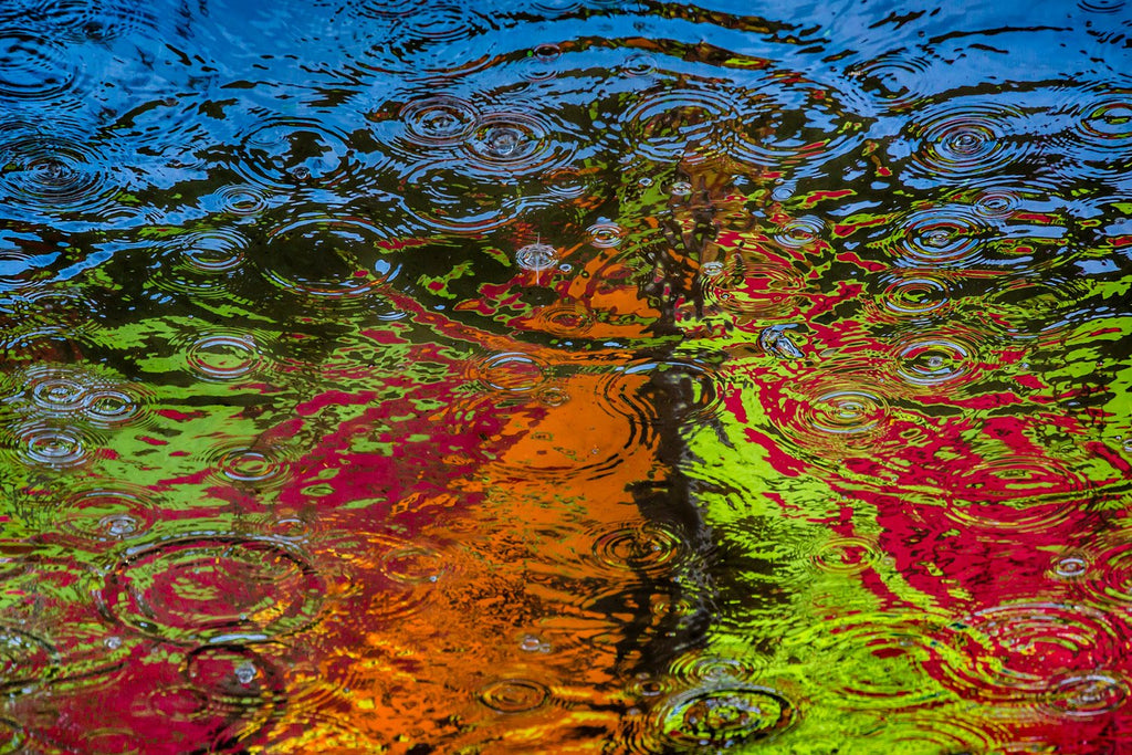 Ripple Effect